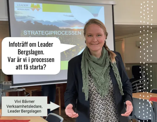 infoträff-vivi-leader-bergslagen-informerar-projektstöd