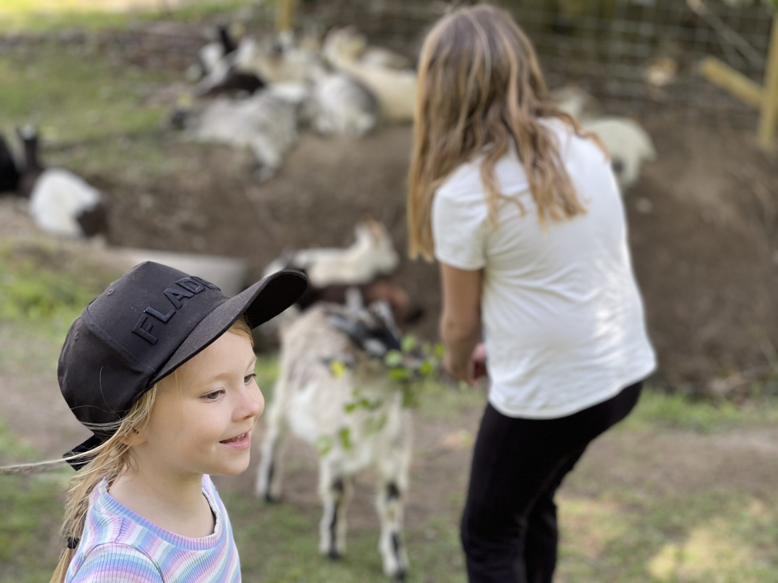 Fotograf Urban Dimberg stämningsbilder från Bergslagen (13)