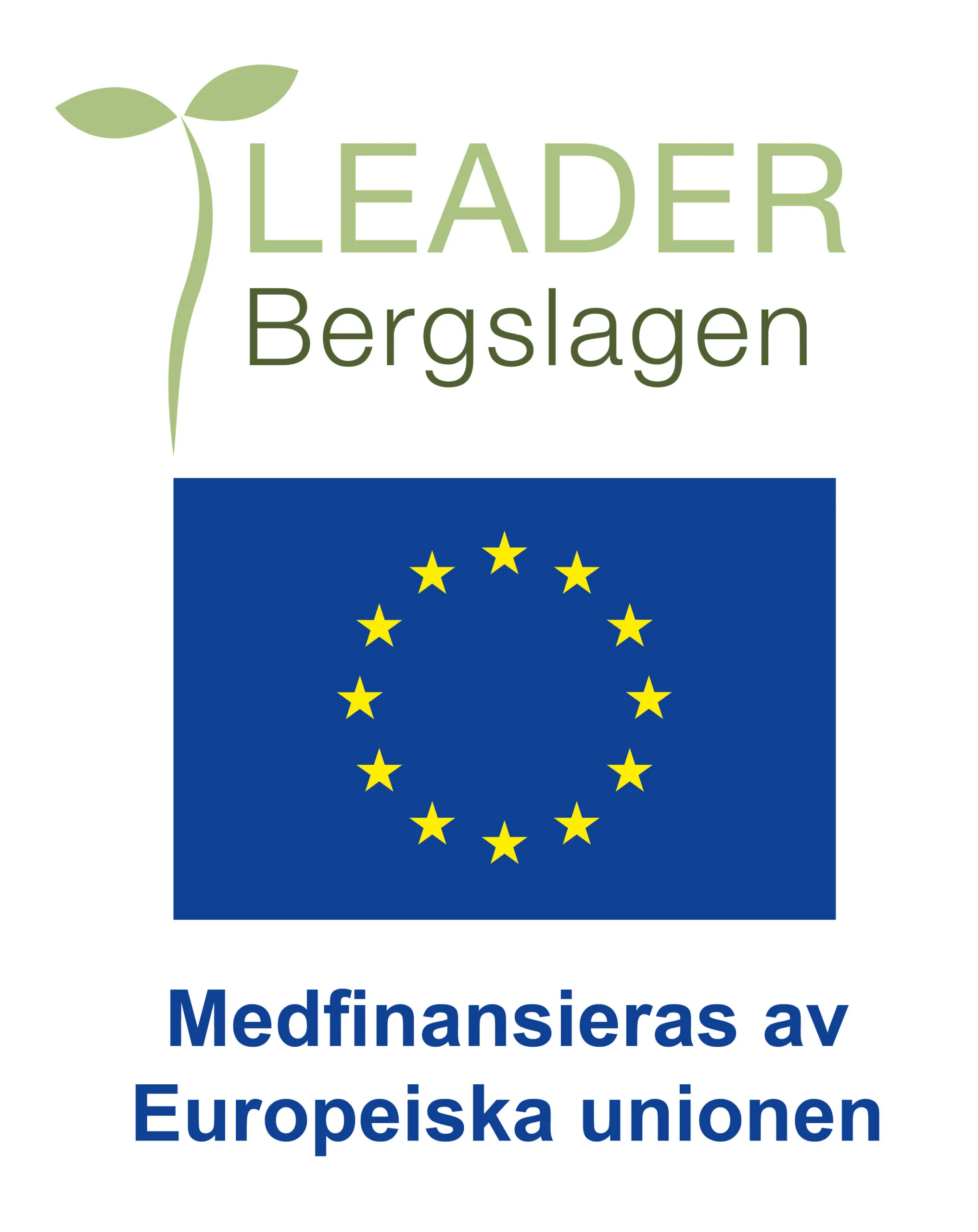 Logo Leader Bergslagen EU Farg staende