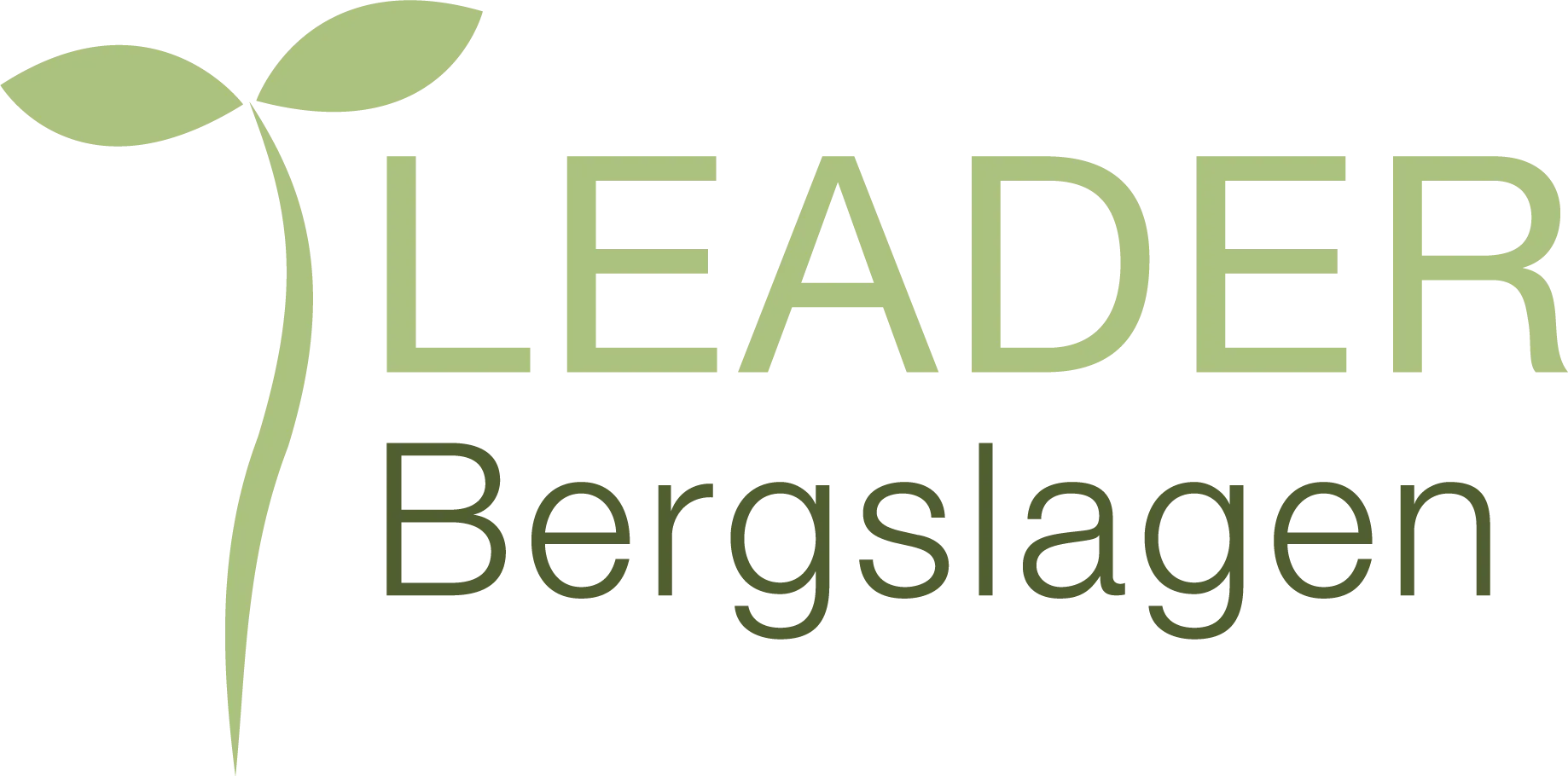leader-bergslagen-logo-med-gron-grodd-som-dekor
