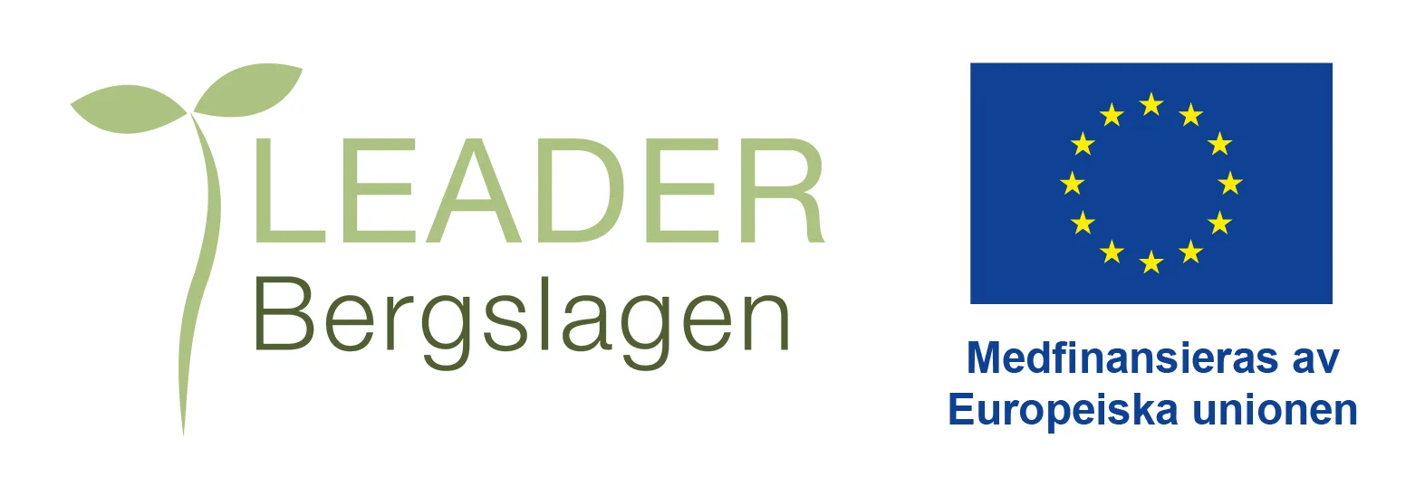 Logo-leader-bergslagen-EU-color