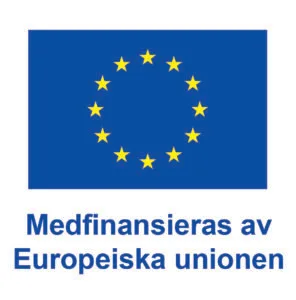EU flaggan SV V Medfinansieras av Europeiska unionen_POS