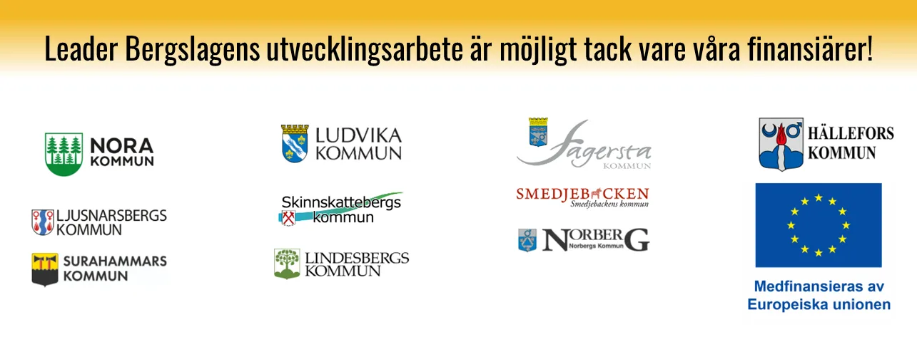 arbete möjligt tack vare finansiärer