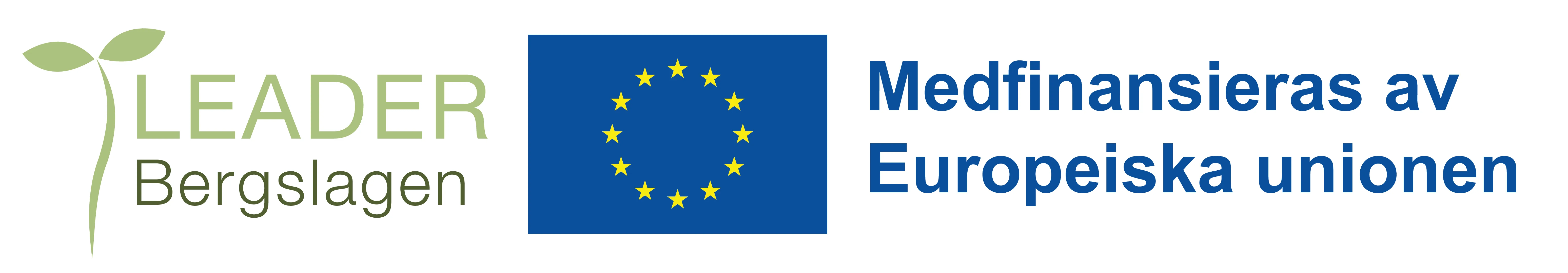 logo banner EU-logo-banner-leader-bergslagen