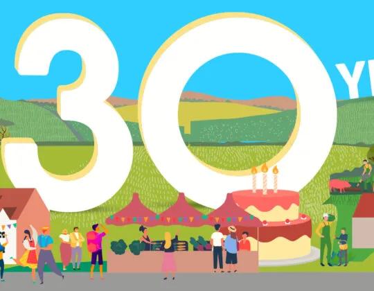 decorative-leader-30-years-banner