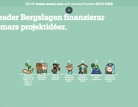 vad-vill-ungdomarna-menti-undersökning