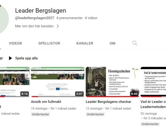 skärmbild youtube