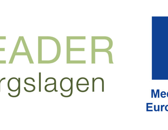 Logo-leader-bergslagen-EU-farg