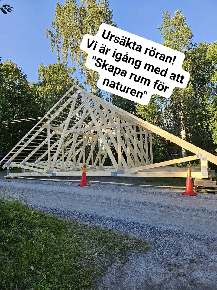 bild på taket i skapa rum för naturen