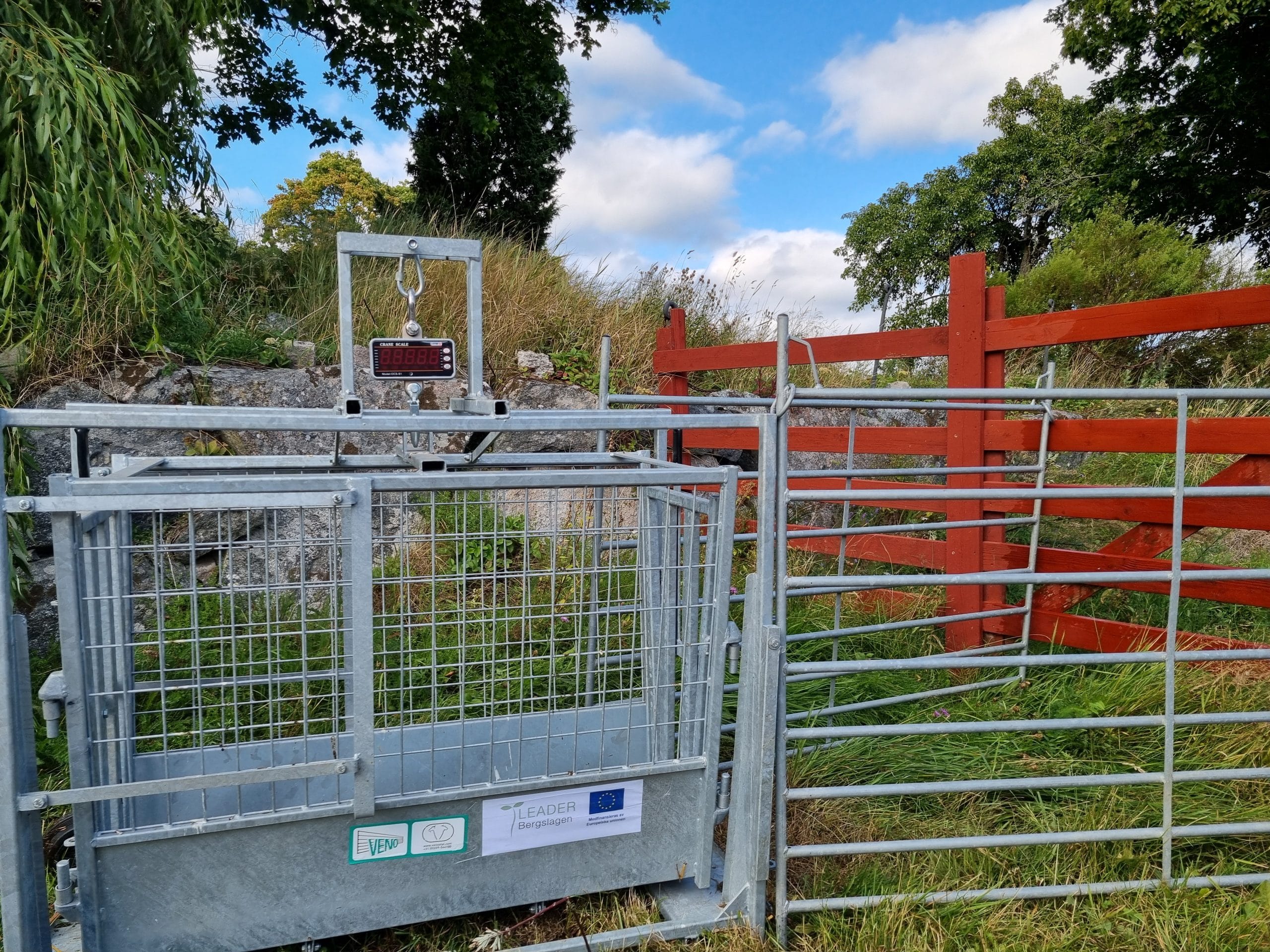 bild på en fårvåg