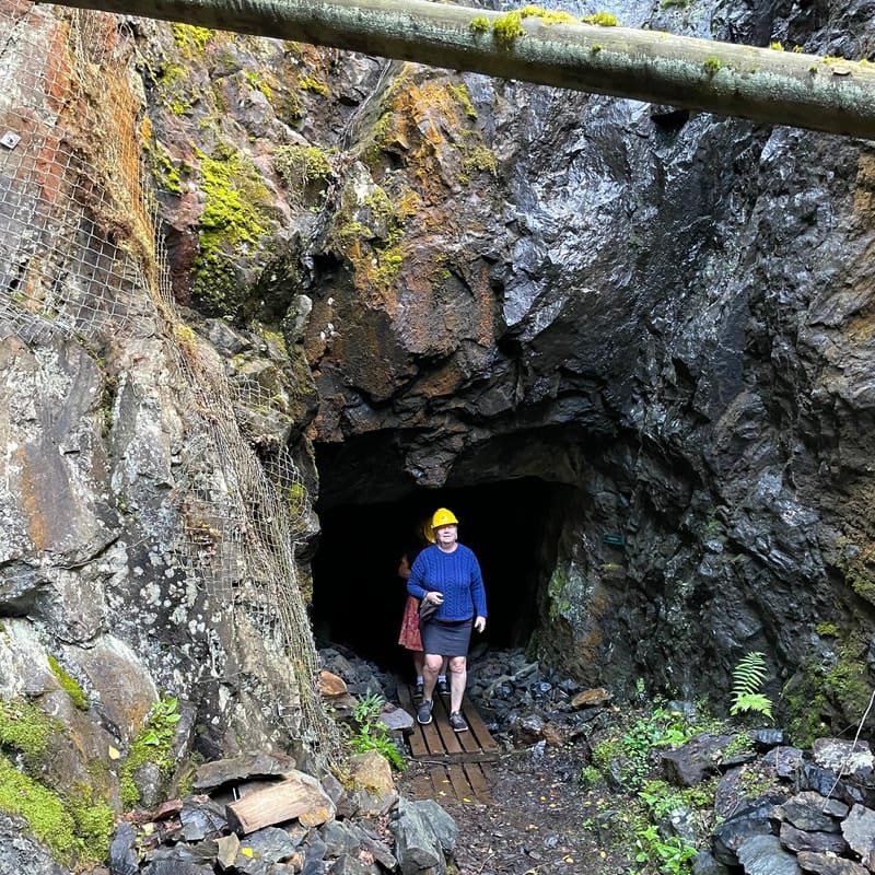 bild på en fårvåg