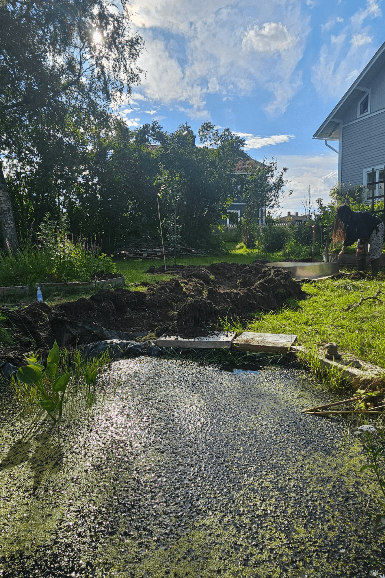 samla vatten i trädgården miljöchecken mossutstallningar worskhop