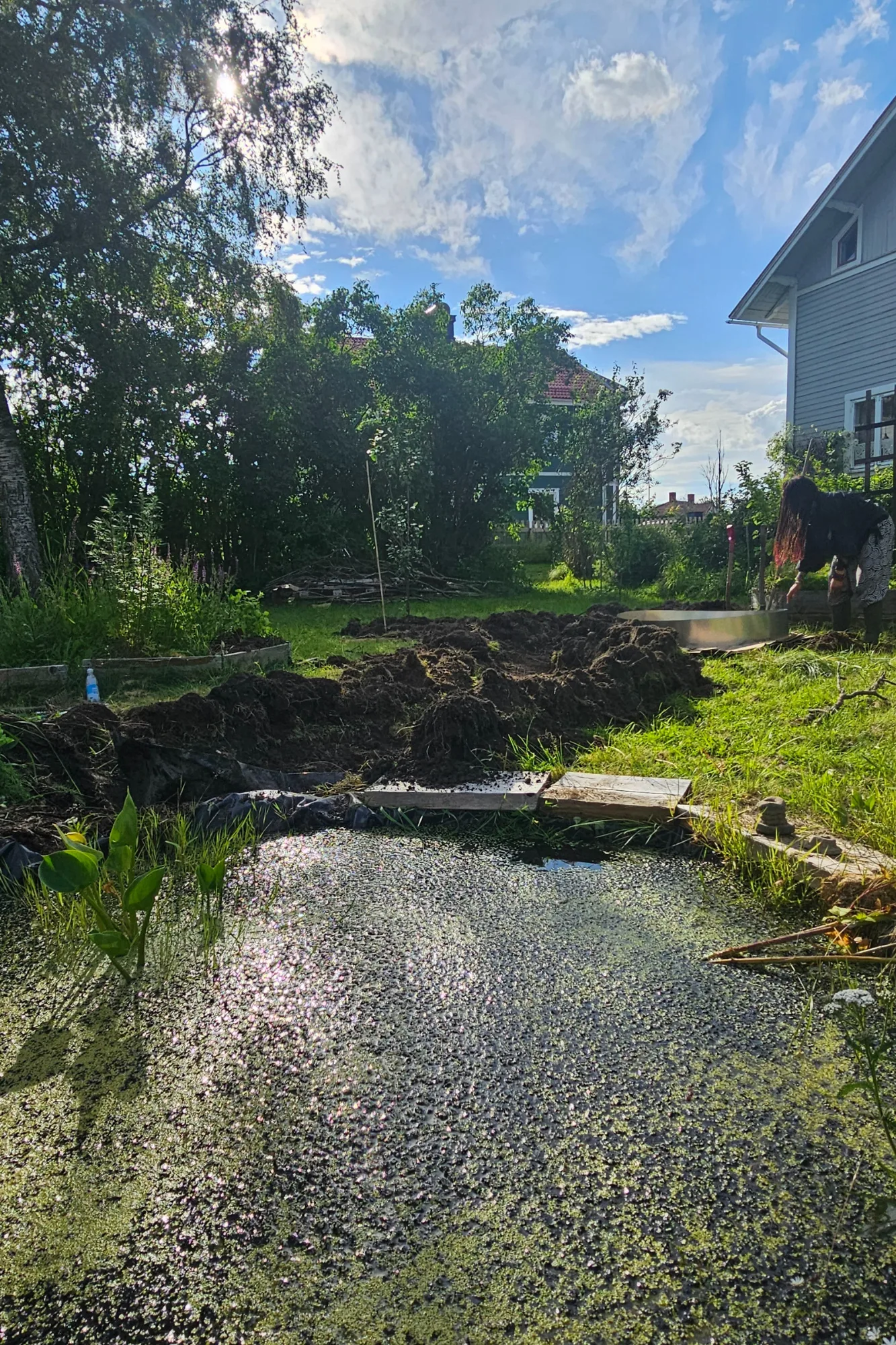 samla vatten i trädgården miljöchecken mossutstallningar worskhop