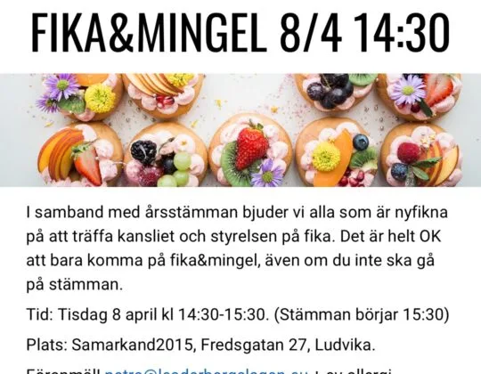 fika och mingel leader bergslagen årsstämma bild på fika