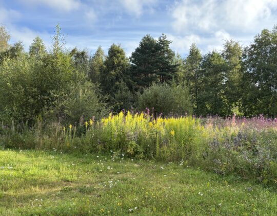 utegym fredriksberg "före"