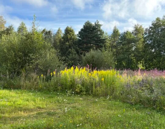 utegym fredriksberg "före"