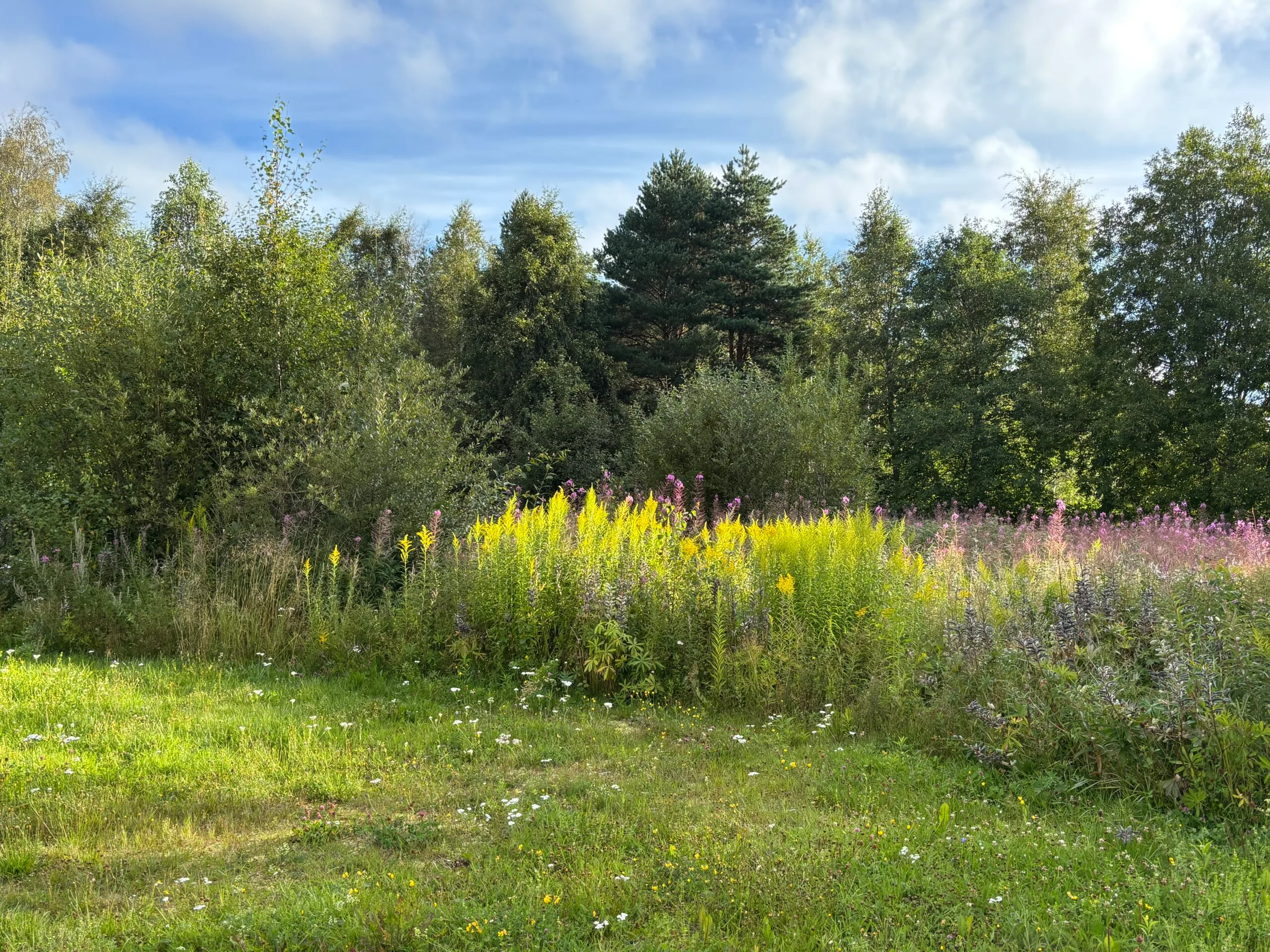 utegym fredriksberg "före"