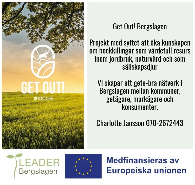 Get Out! Bergslagen Projekt med syftet att öka kunskapen om bockkillingar som värdefull resurs inom jordbruk, naturvård och som sällskapsdjur Vi skapar ett gete-bra nätverk i Bergslagen mellan kommuner, getägare, markägare och konsumenter. Charlotte Jansson 070-2672443 
