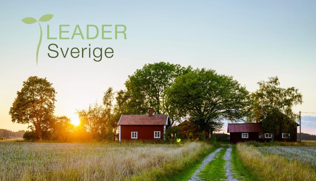 leader-sverige-solnedgång